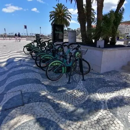 Casa Dos Avós Apartamento Cascais